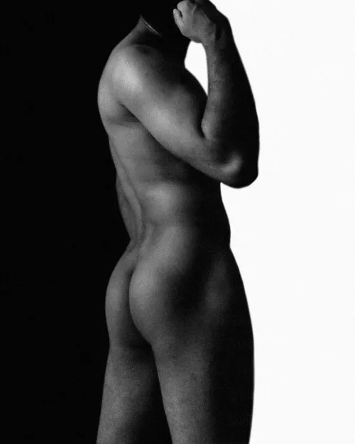 Where you looking for a bull?