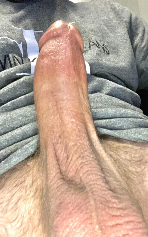 28m (21701) m4a looking to have some fun 