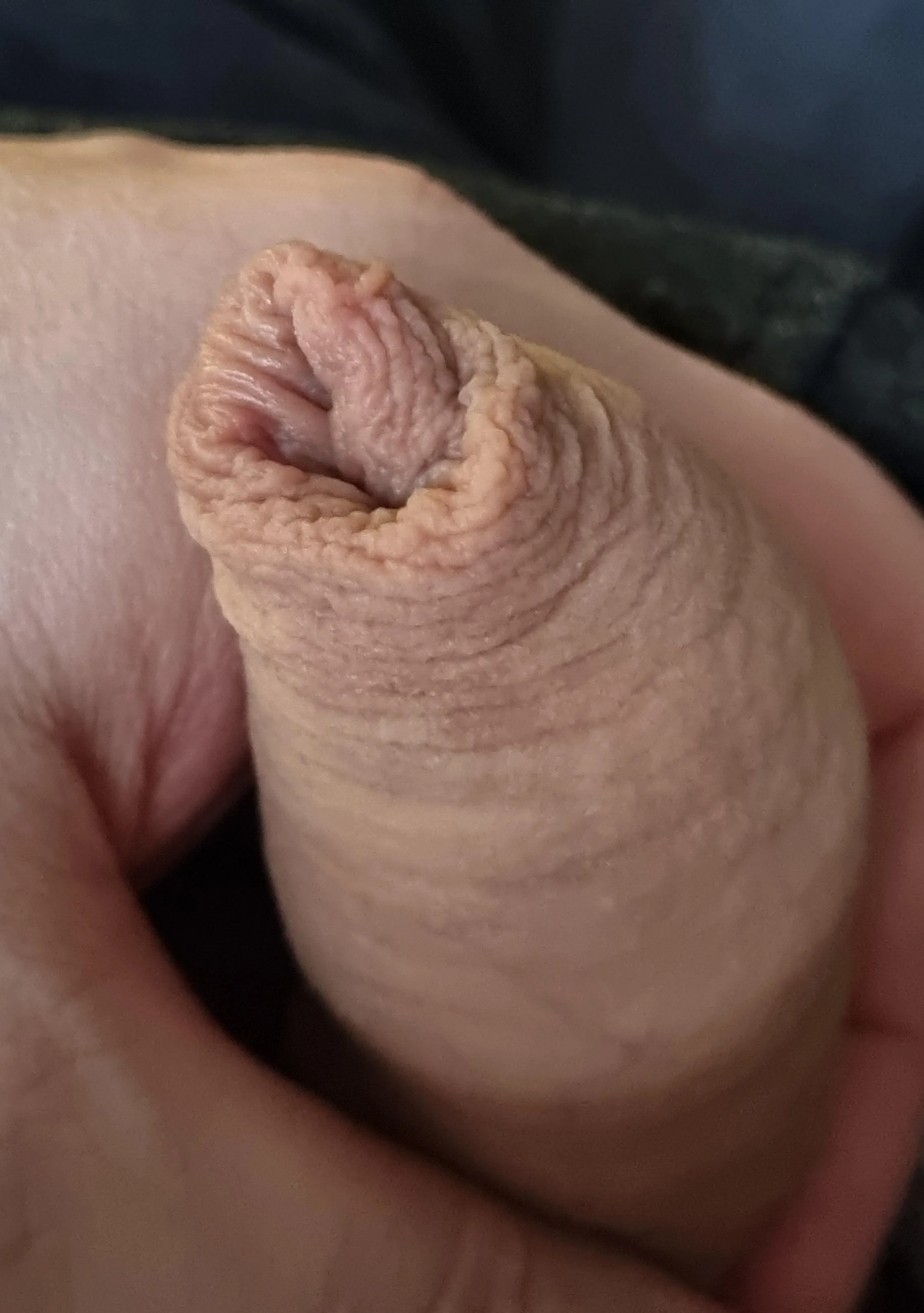 (46) Another boring sunday. 