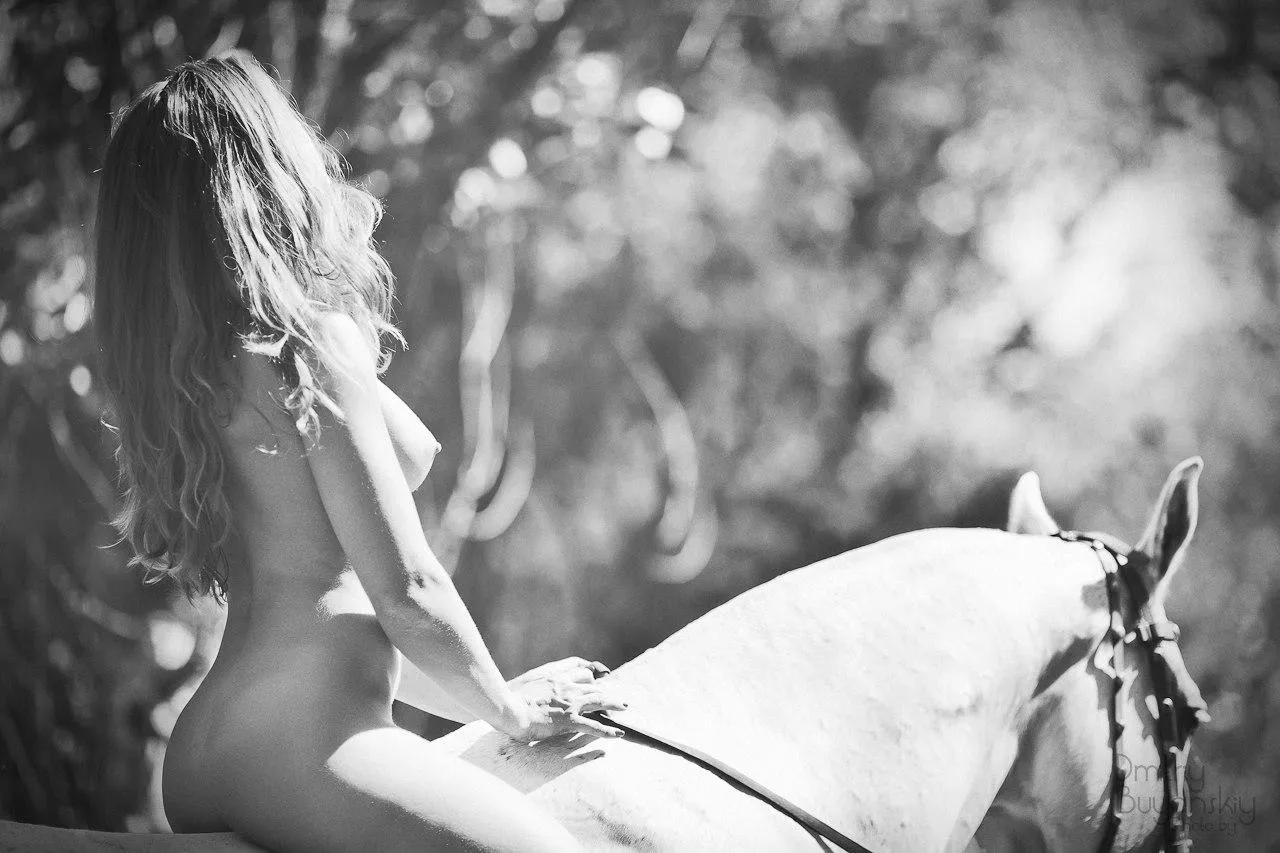 A Perfect Harmony of Shapes & Curves