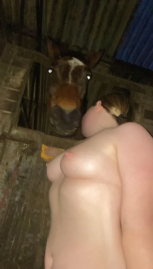 I always say Goodnight to him when I’m finished at the stables 
