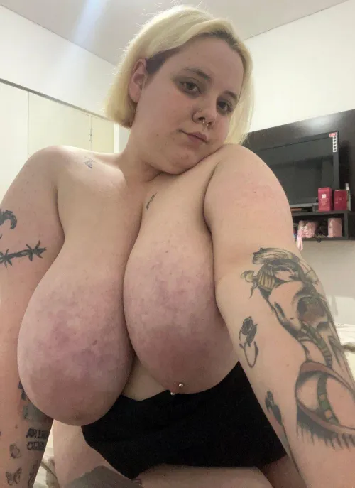 What’s your excuse for not telling me how you feel about me yet?