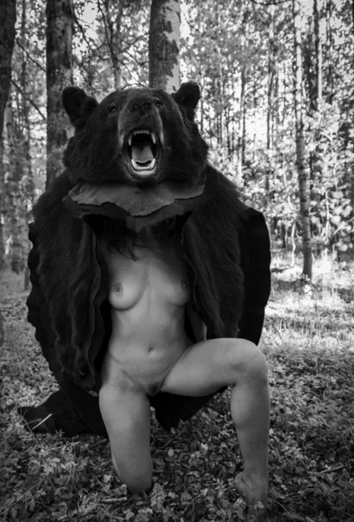 Bear in the woods