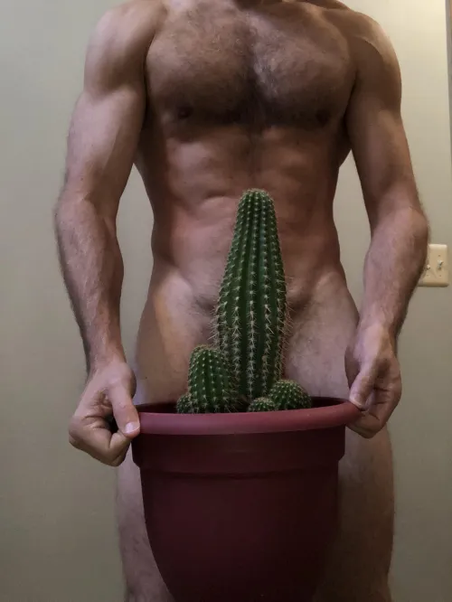 I Packed Us a Cactus!
