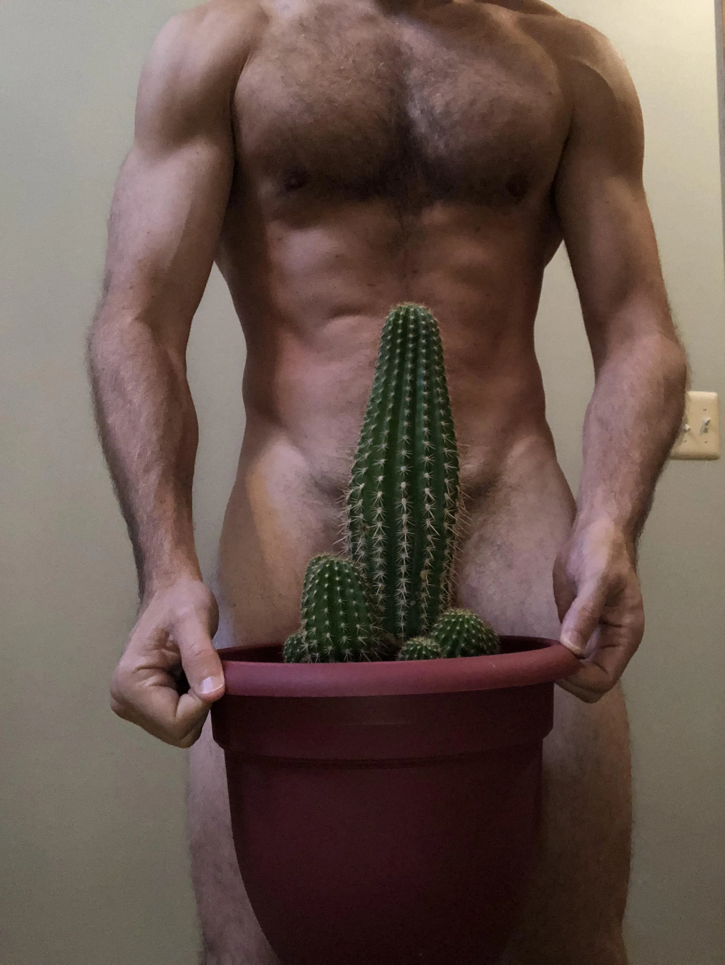 I Packed Us a Cactus!