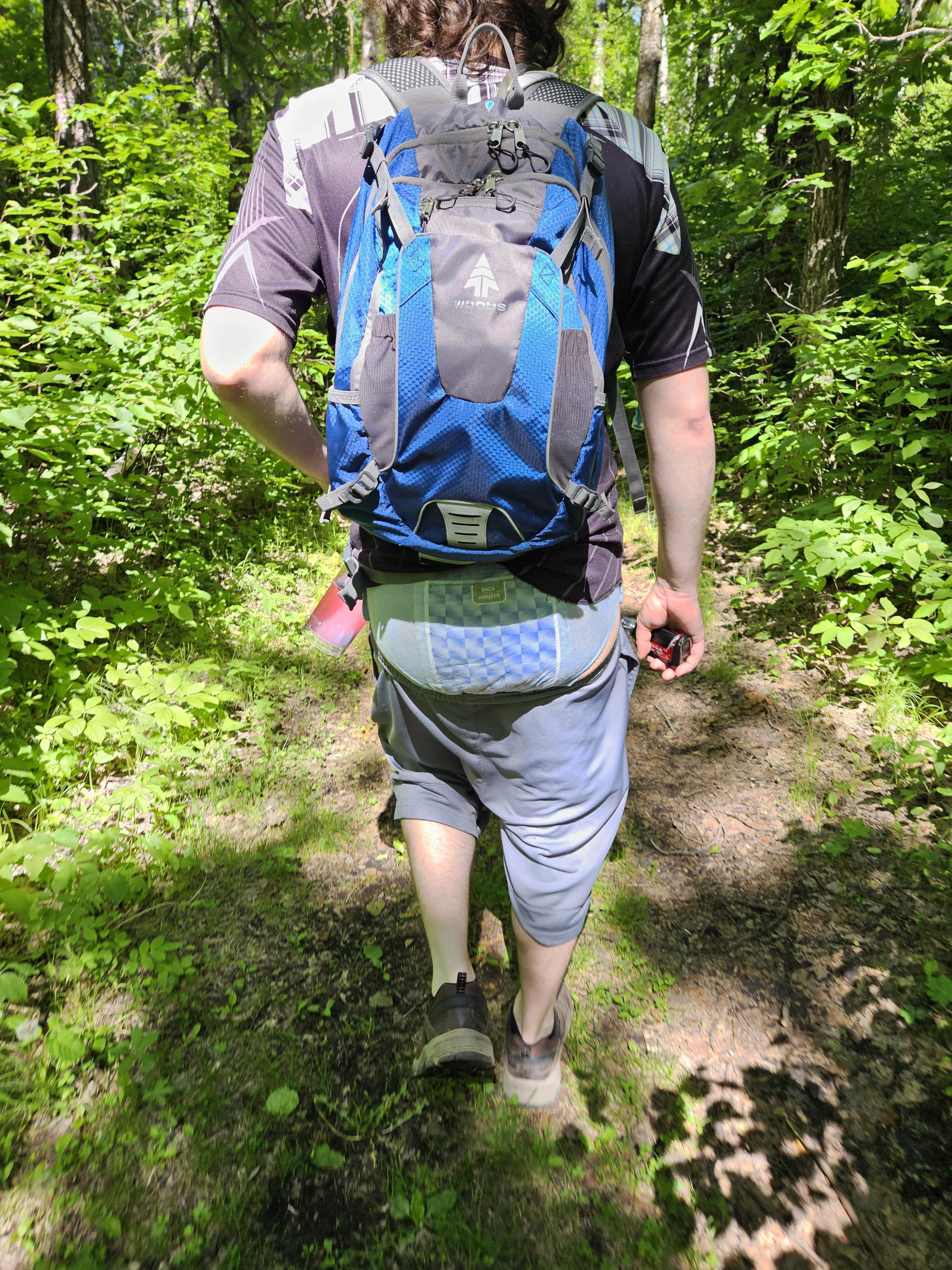My little cutie out for a walk in the summer 