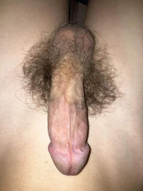 Semi hard average cock