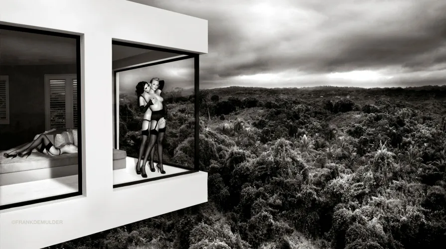 The Penthouse, by Frank De Mulder