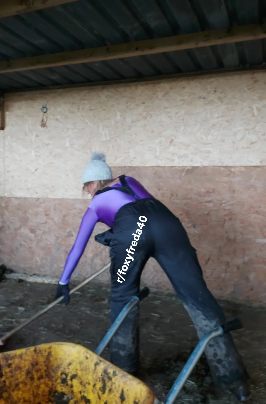 For each job you help me with, I'll take a layer of clothing off for yoh