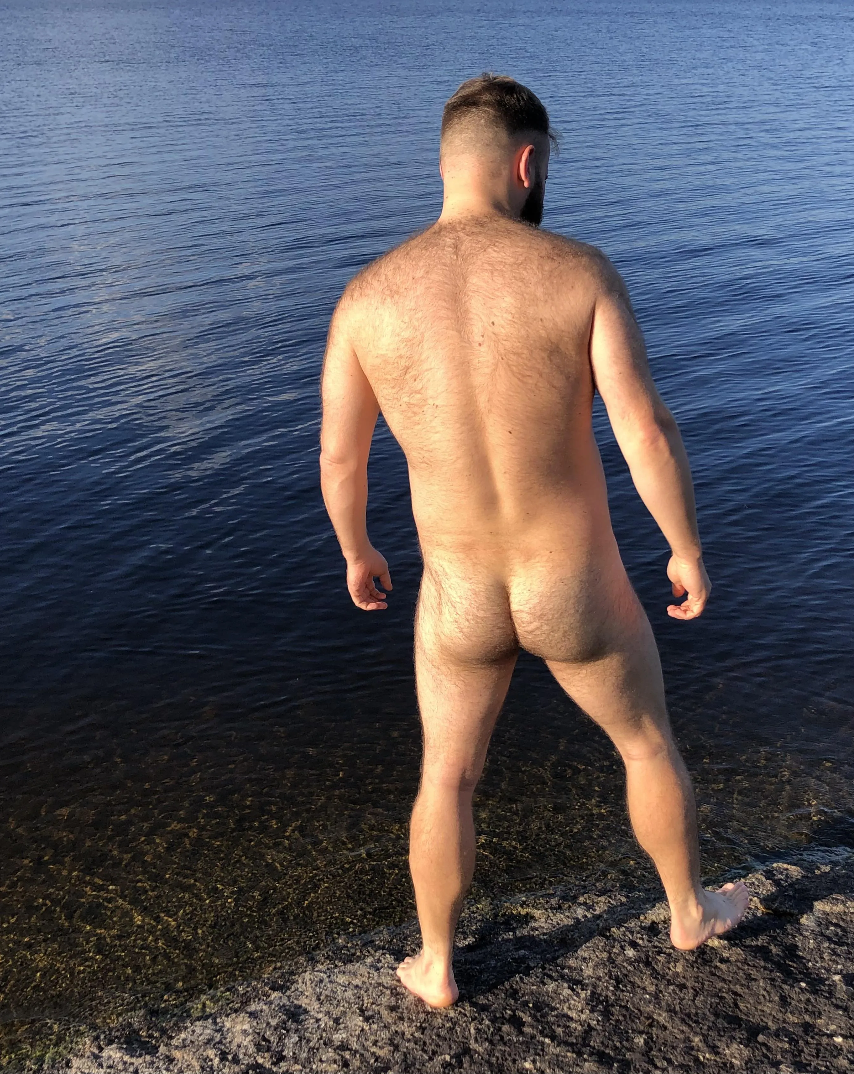 Otters are littoral animals am I right?