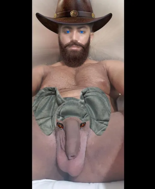 What animal is this? 