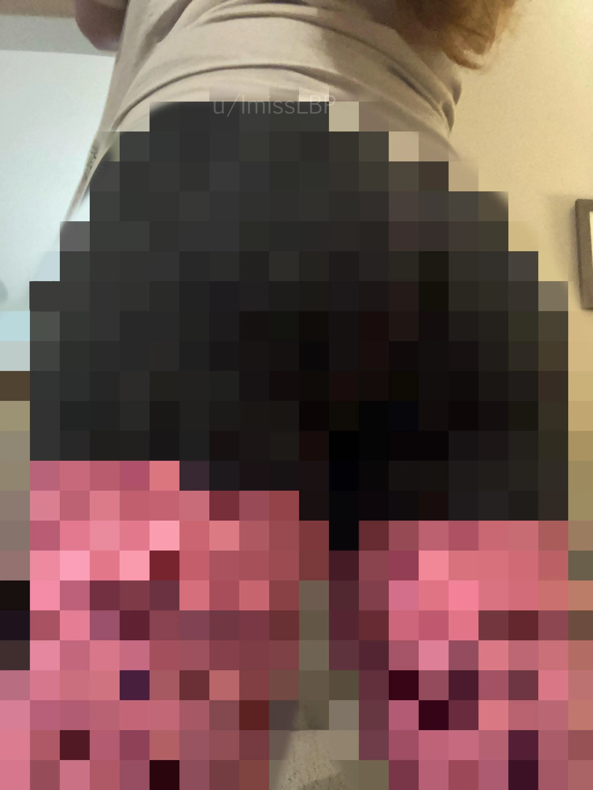 Beg to sniff the screen.