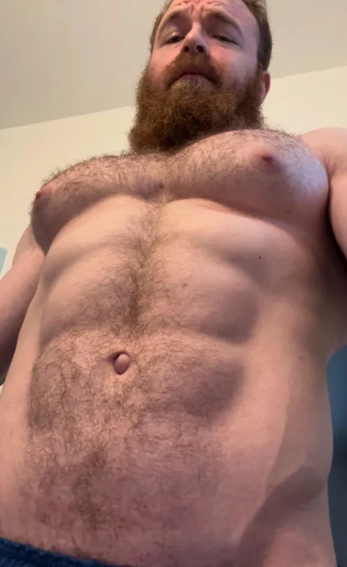 Checking the progress before chest day