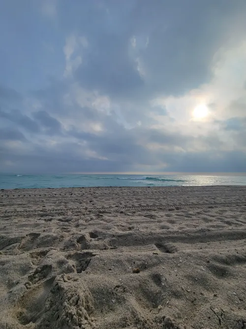 COME ON SUN YOU CAN DO IT