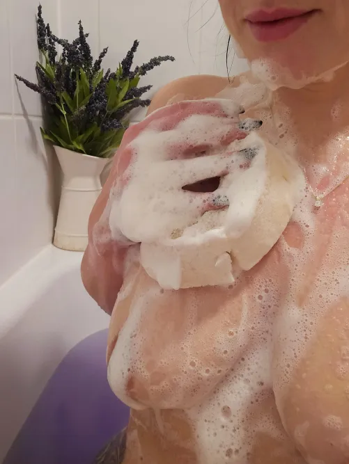 Great view of my sponge