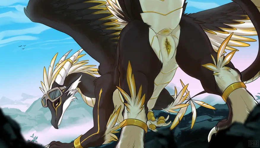 High altitude [F] (dfkr)