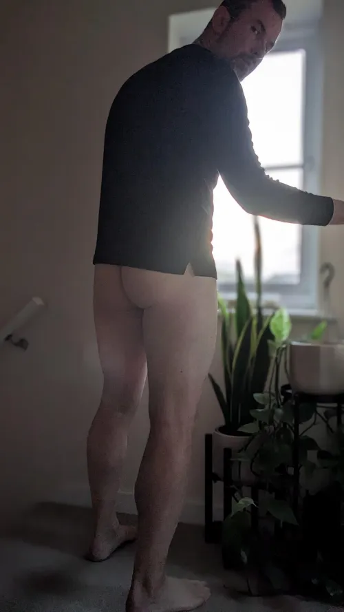 I'n afraid the forecast isn't great Piglet. A stor(m) is heading our way