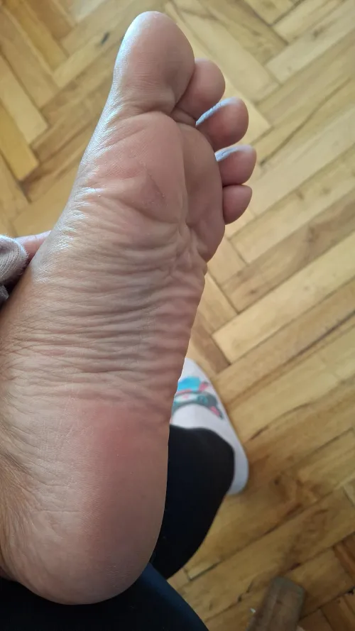 it looks so cute [oc] 