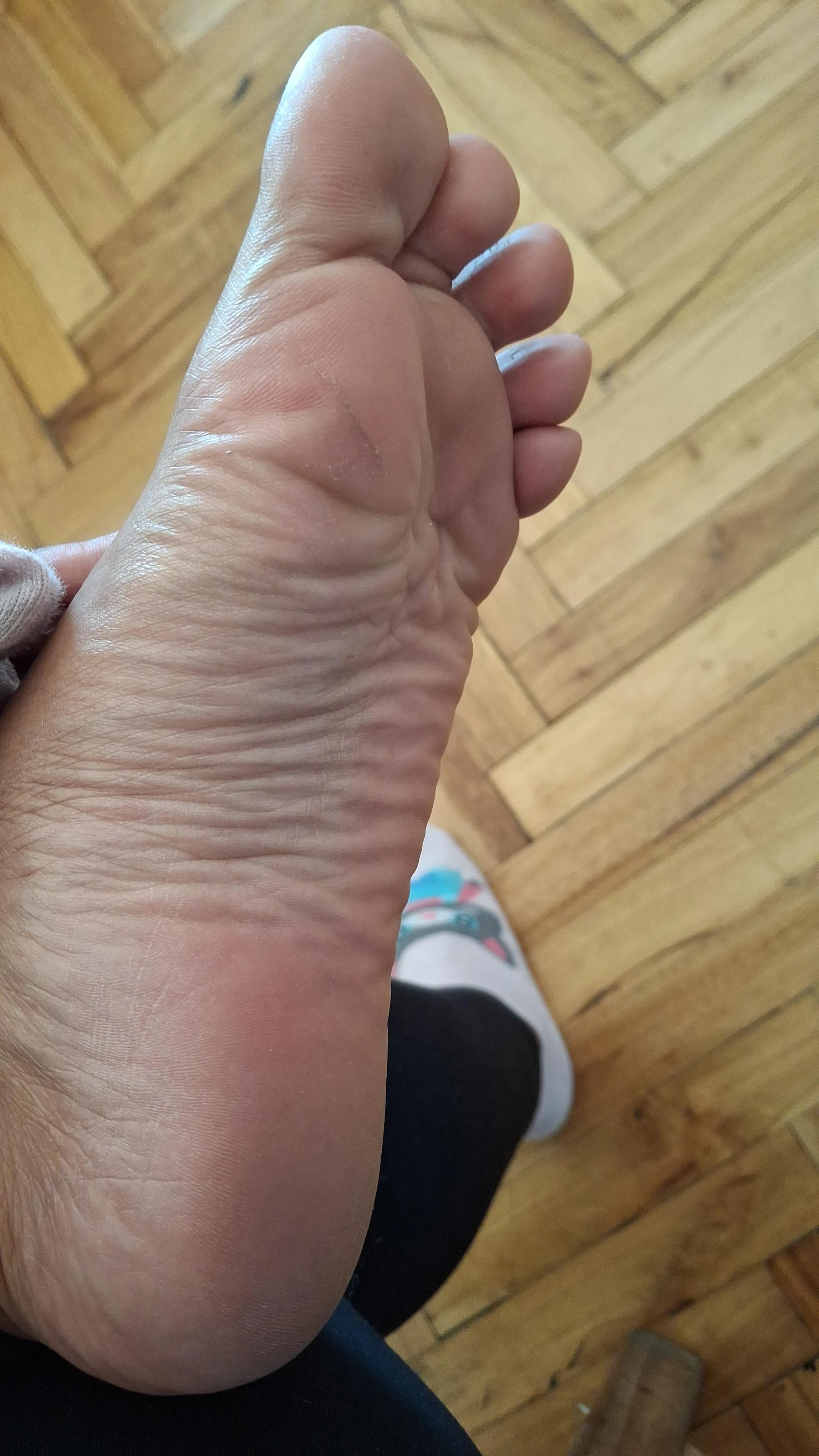 it looks so cute [oc] 