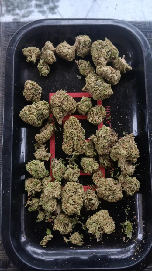 LitFarms- London Pound Cake $39 oz