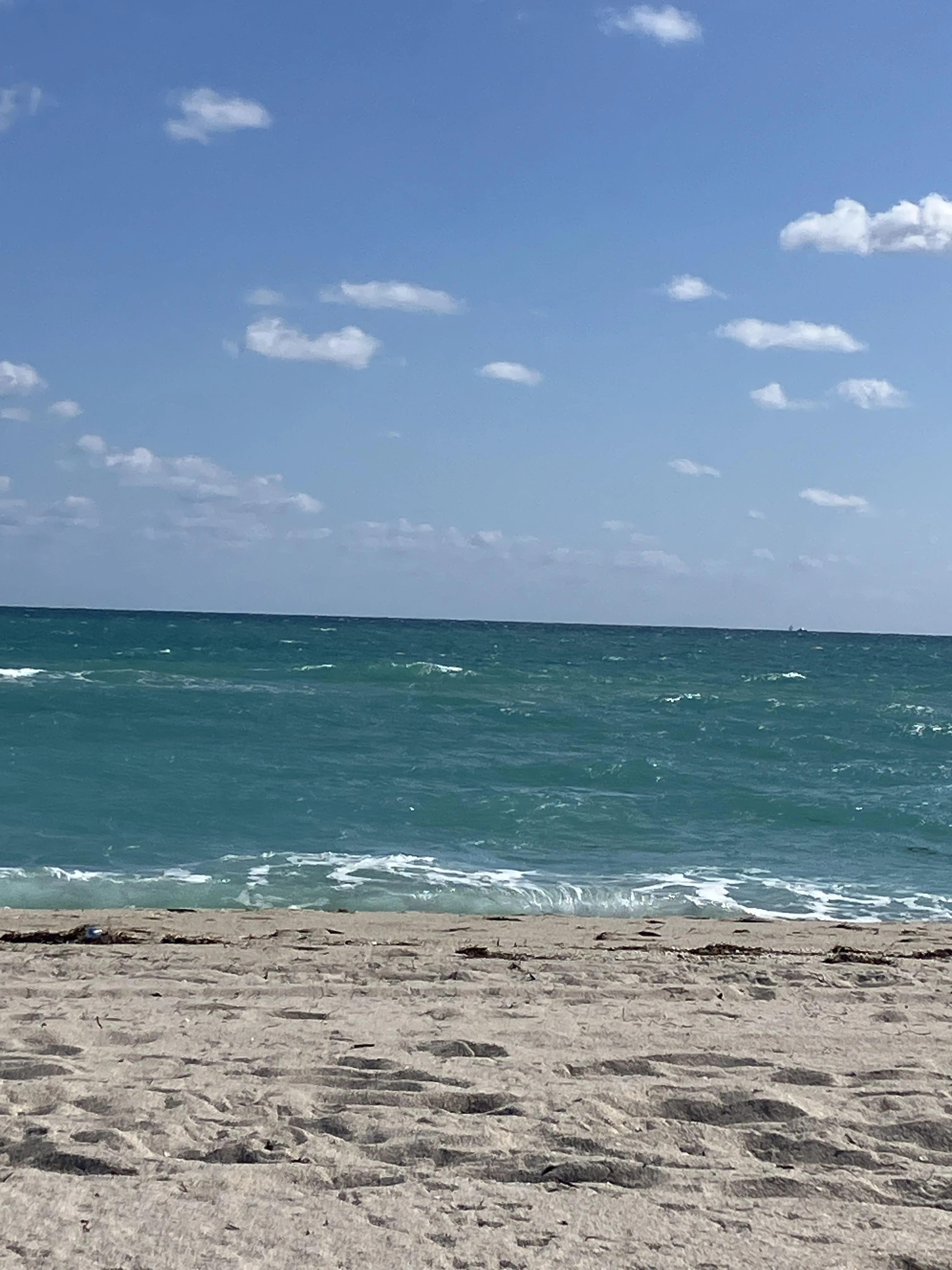 Sun‘s back but it’s WINDY & Rough