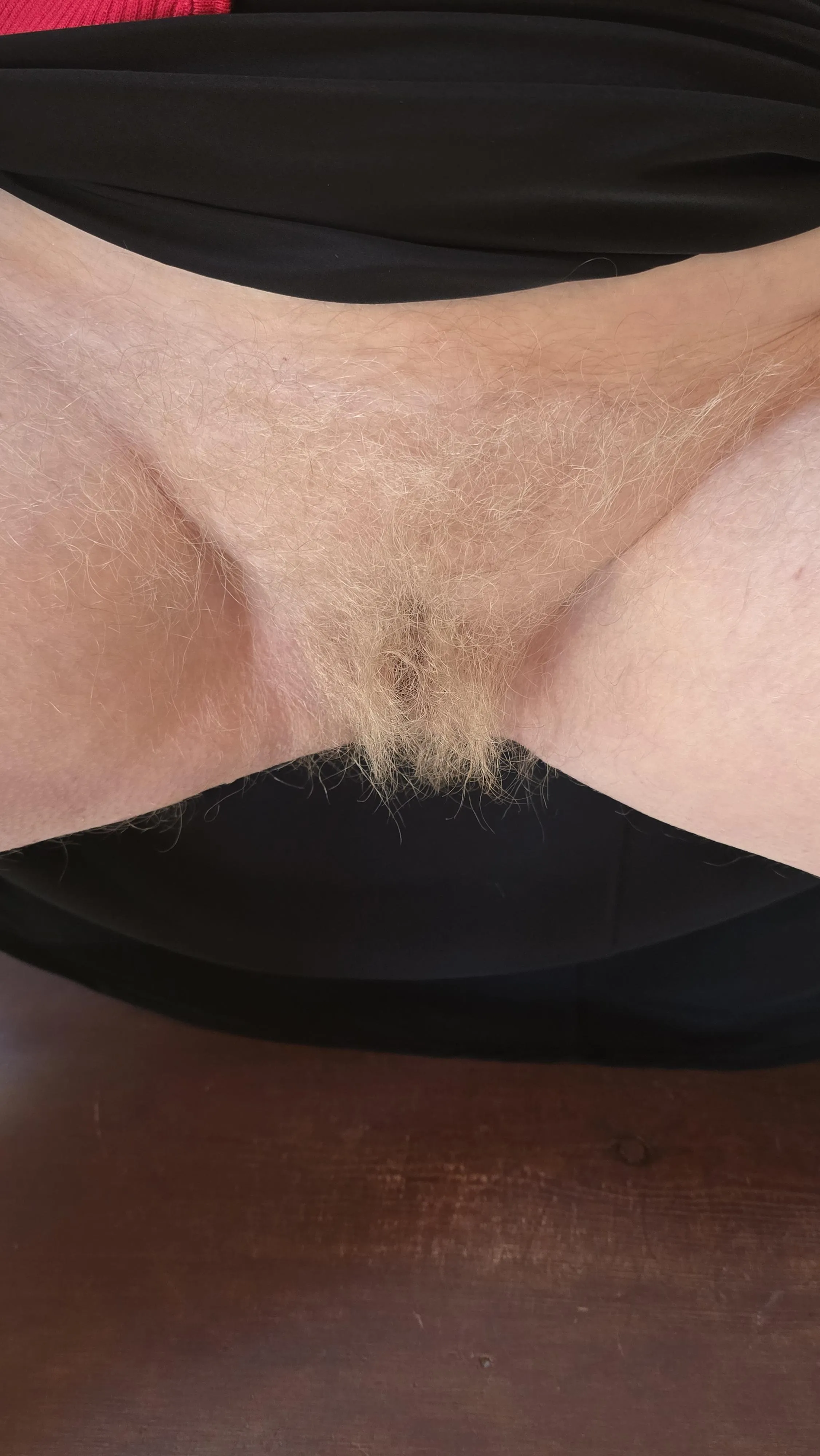 Very, very blonde and hairy bush!