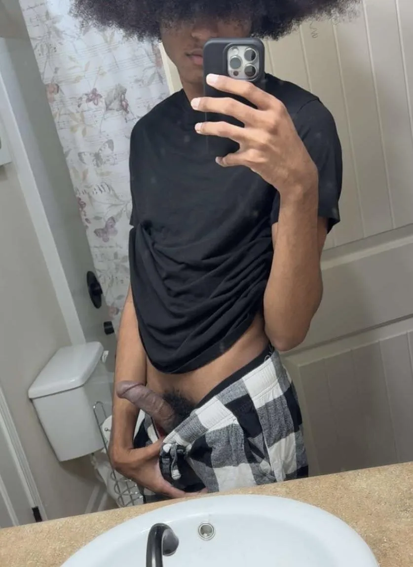 19TF4TF/F Auburn Need someone to breed