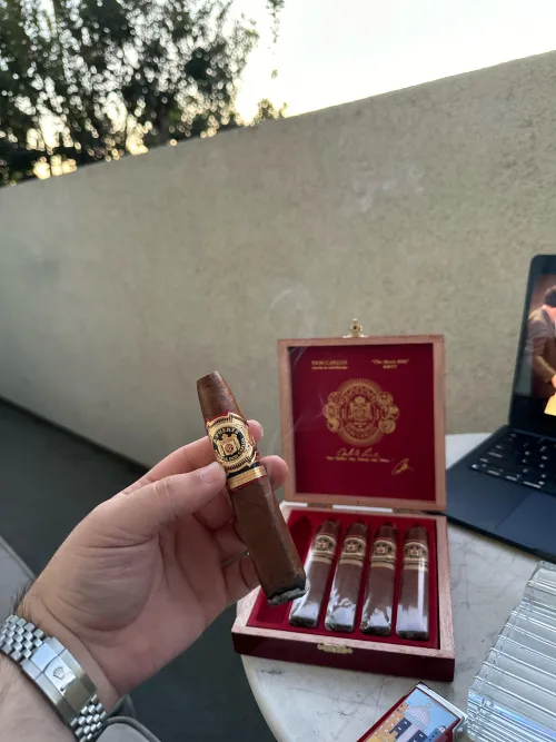 Eye of the shark 10/10