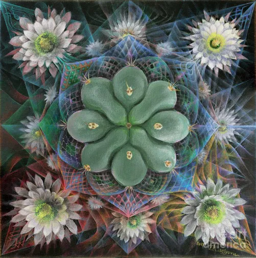 Has anyone taken Mescaline (San Pedro, Peyote etc) before/during a concert? How was your experience?