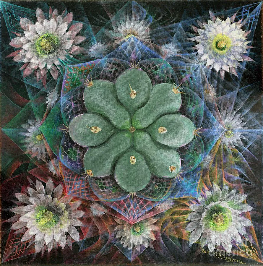 Has anyone taken Mescaline (San Pedro, Peyote etc) before/during a concert? How was your experience?