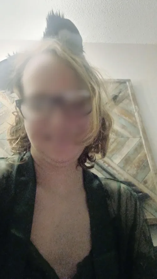 Hello there I have both a paid and a free