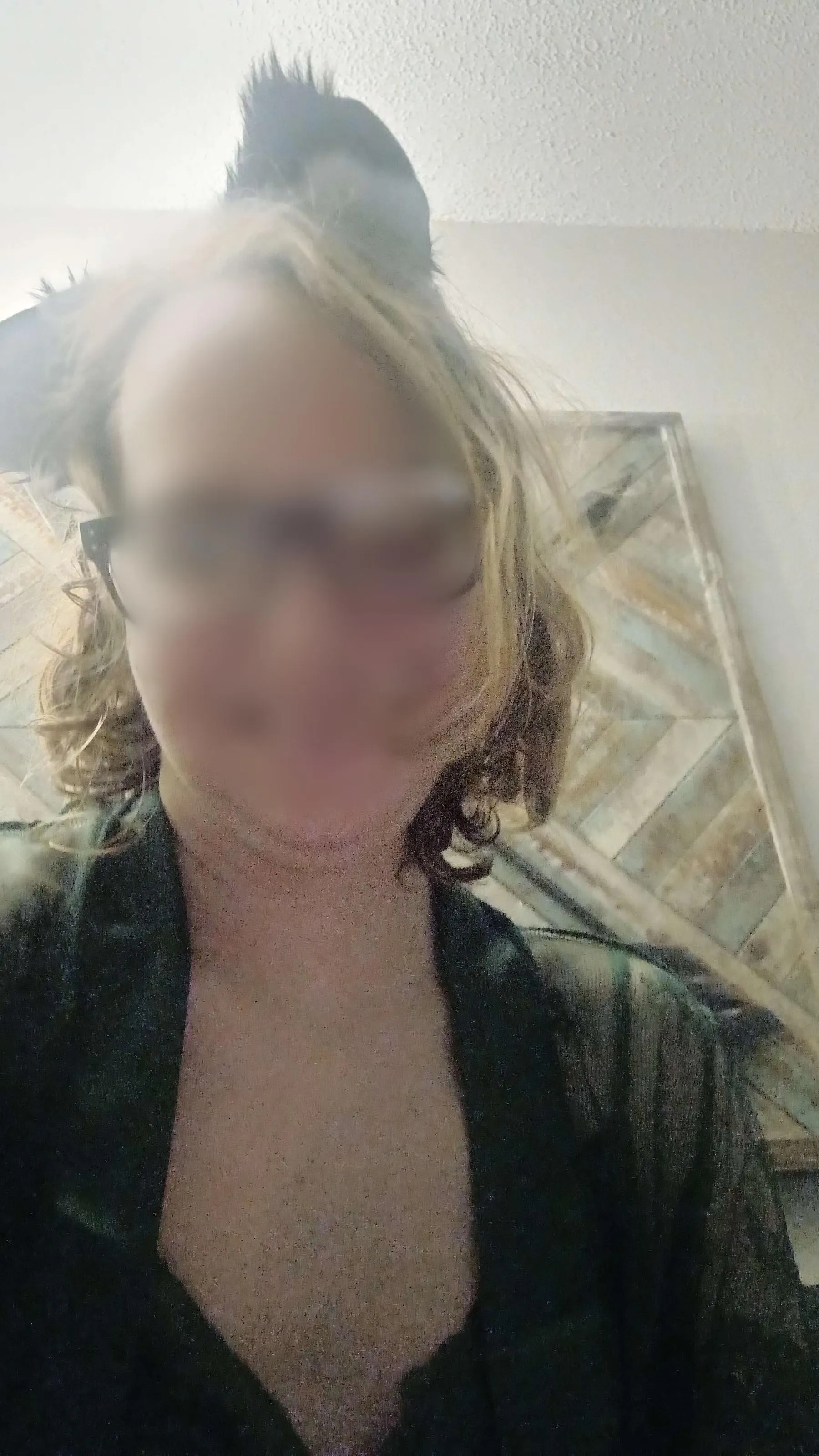 Hello there I have both a paid and a free