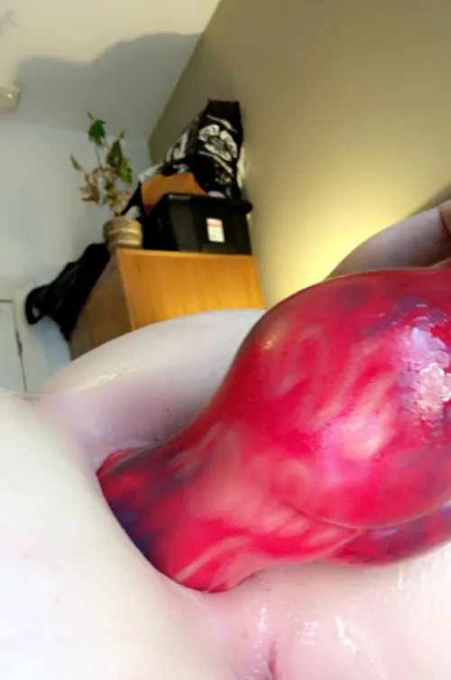 In my ass is the best!