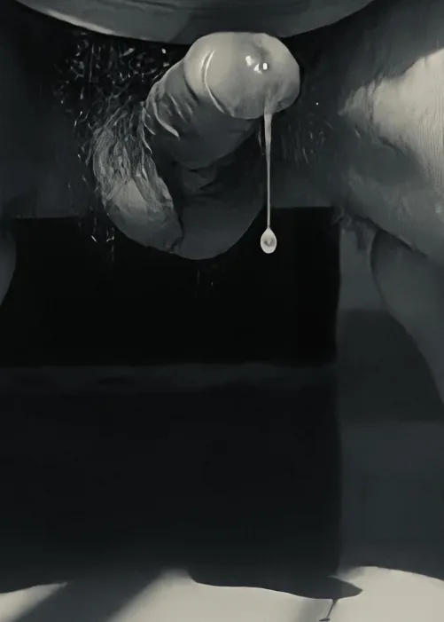 Light, shadow, silhouette, highlights; a little bit of everything