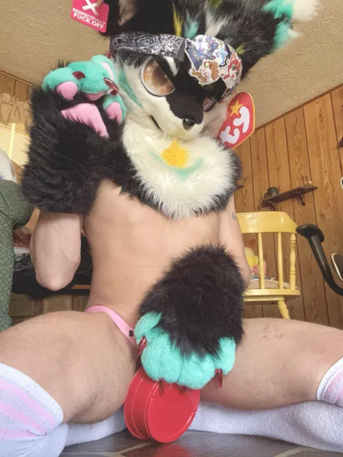 Sorry but this area is off limits