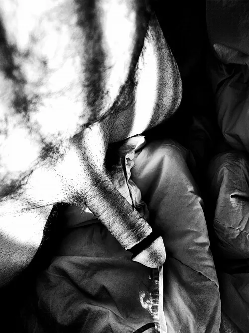 Sunlight and Shadows