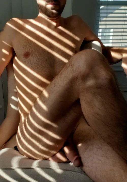 View in the home office