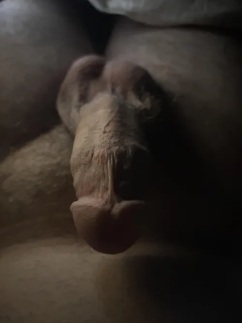 Age 19 come ride this dick