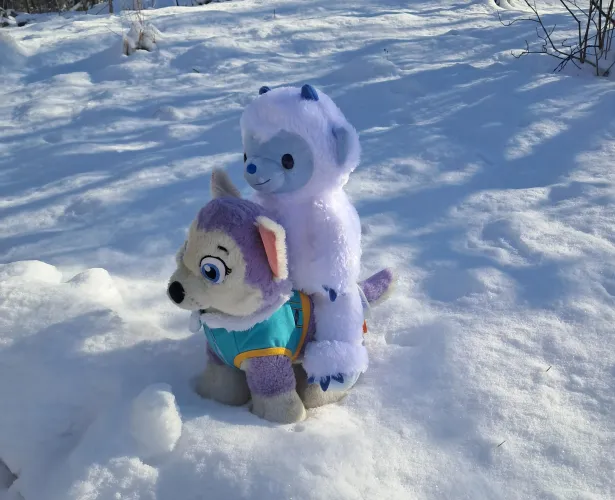 Everest and Yawni the Yeti having fun playing in the first snow of the year 