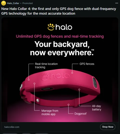 Why was my first thought 