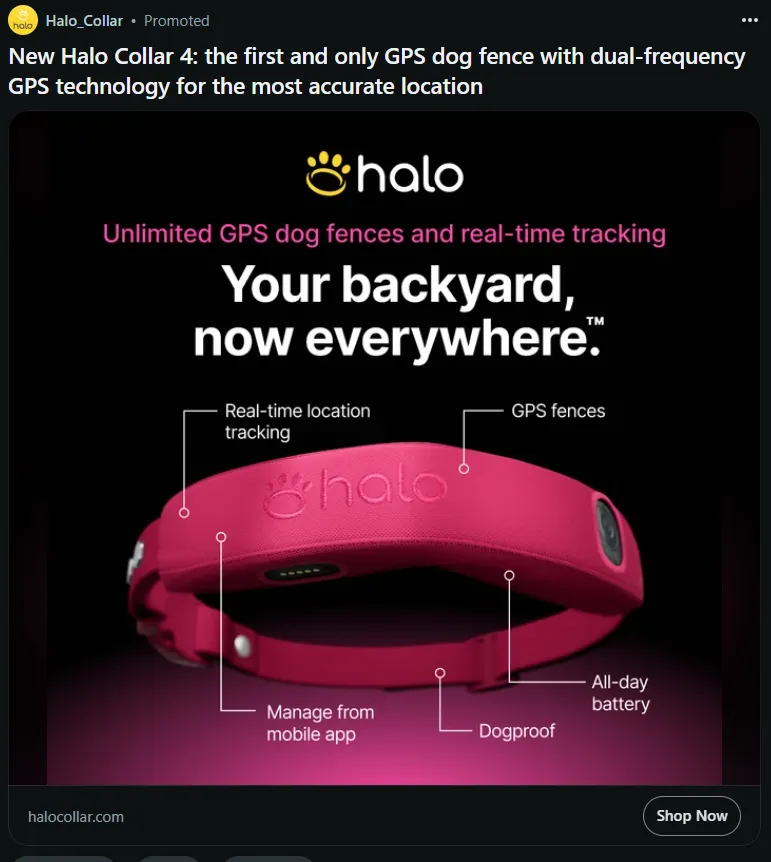 Why was my first thought 