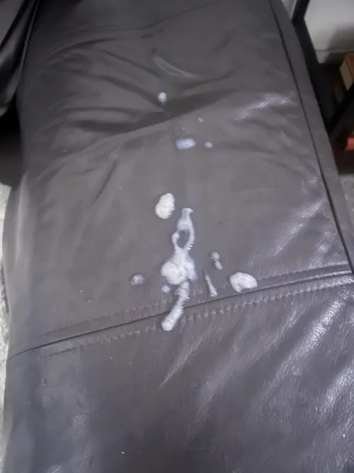 [25] tagged my sisters sofa when she left the room