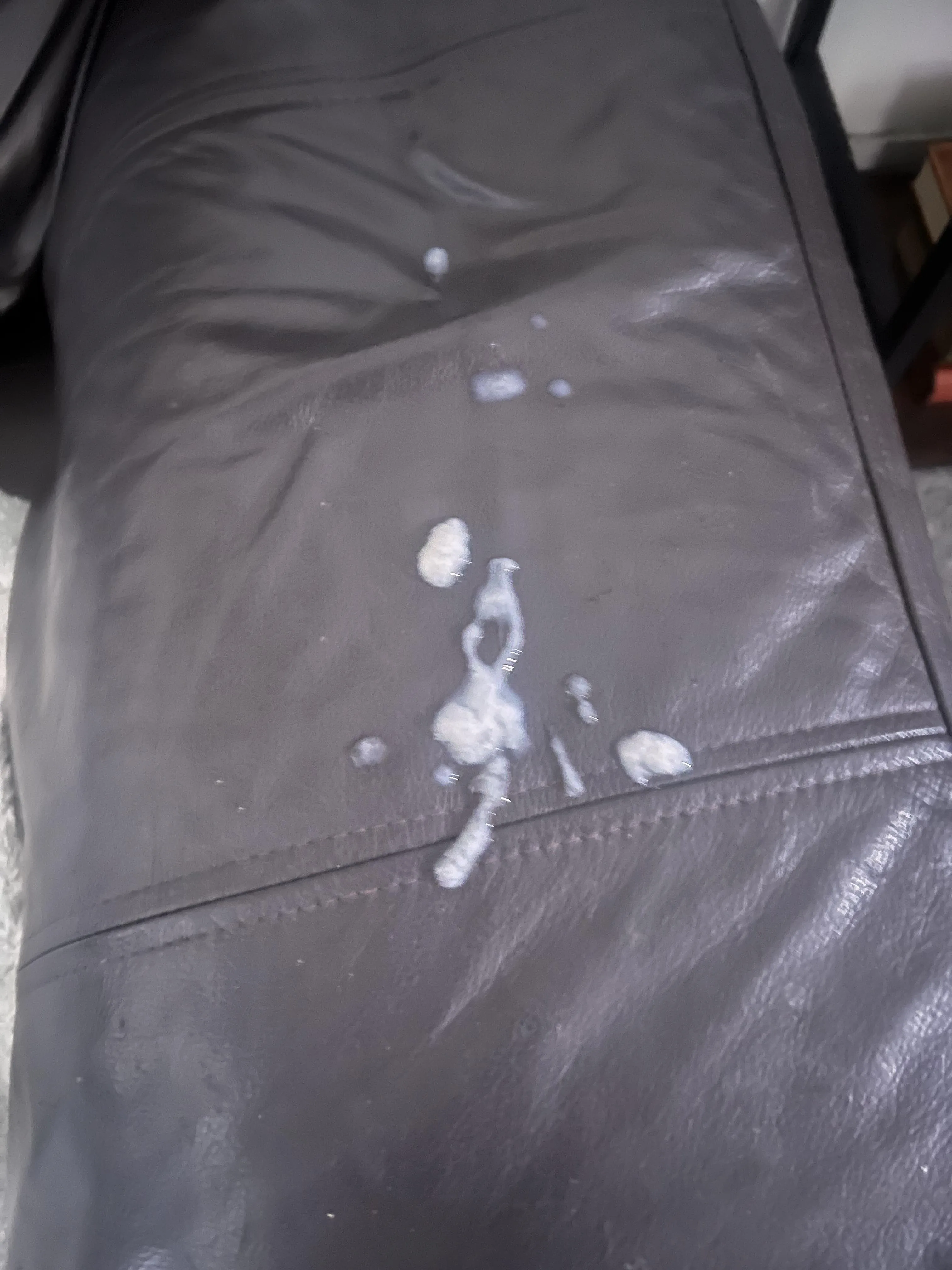 [25] tagged my sisters sofa when she left the room