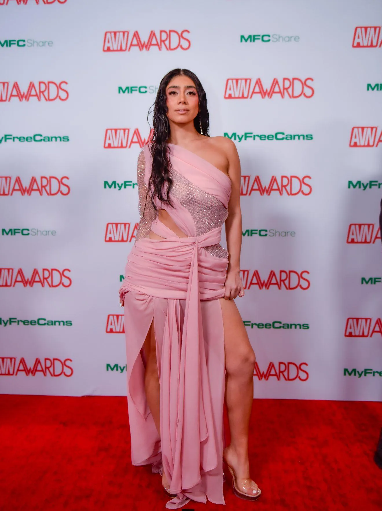 AVN Awards red carpet