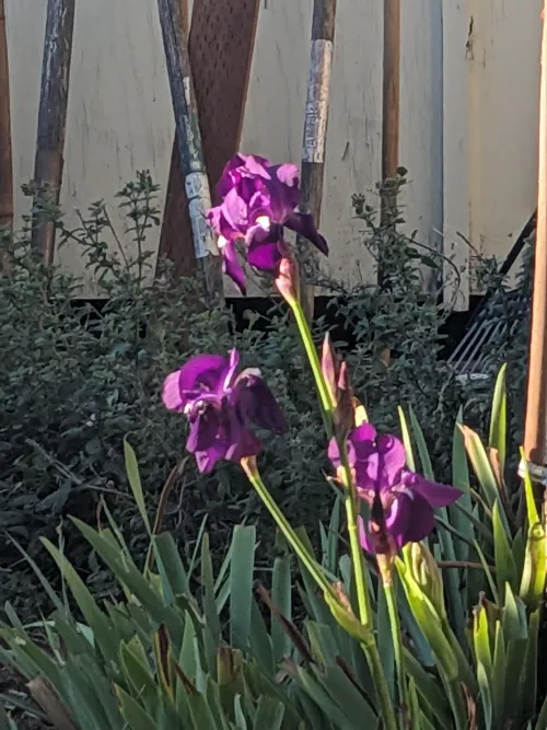 Just coming down from a solo roll