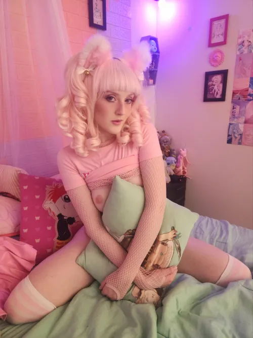 Pink kitties have the warmest hearts