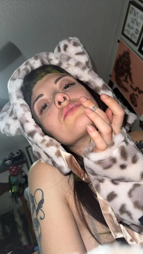 Playful kitten looking for a warm place to nap