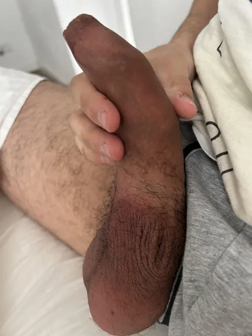 [29] French foreskin