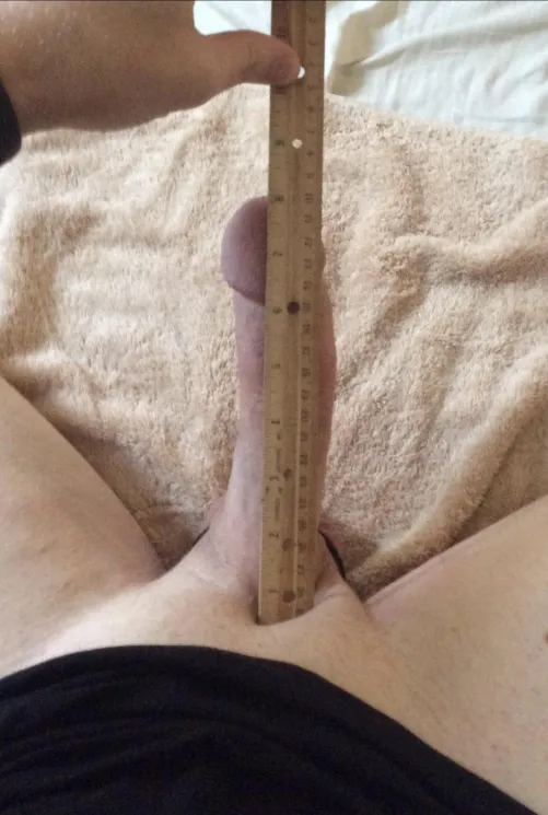 For those who prefer inches…here’s 8