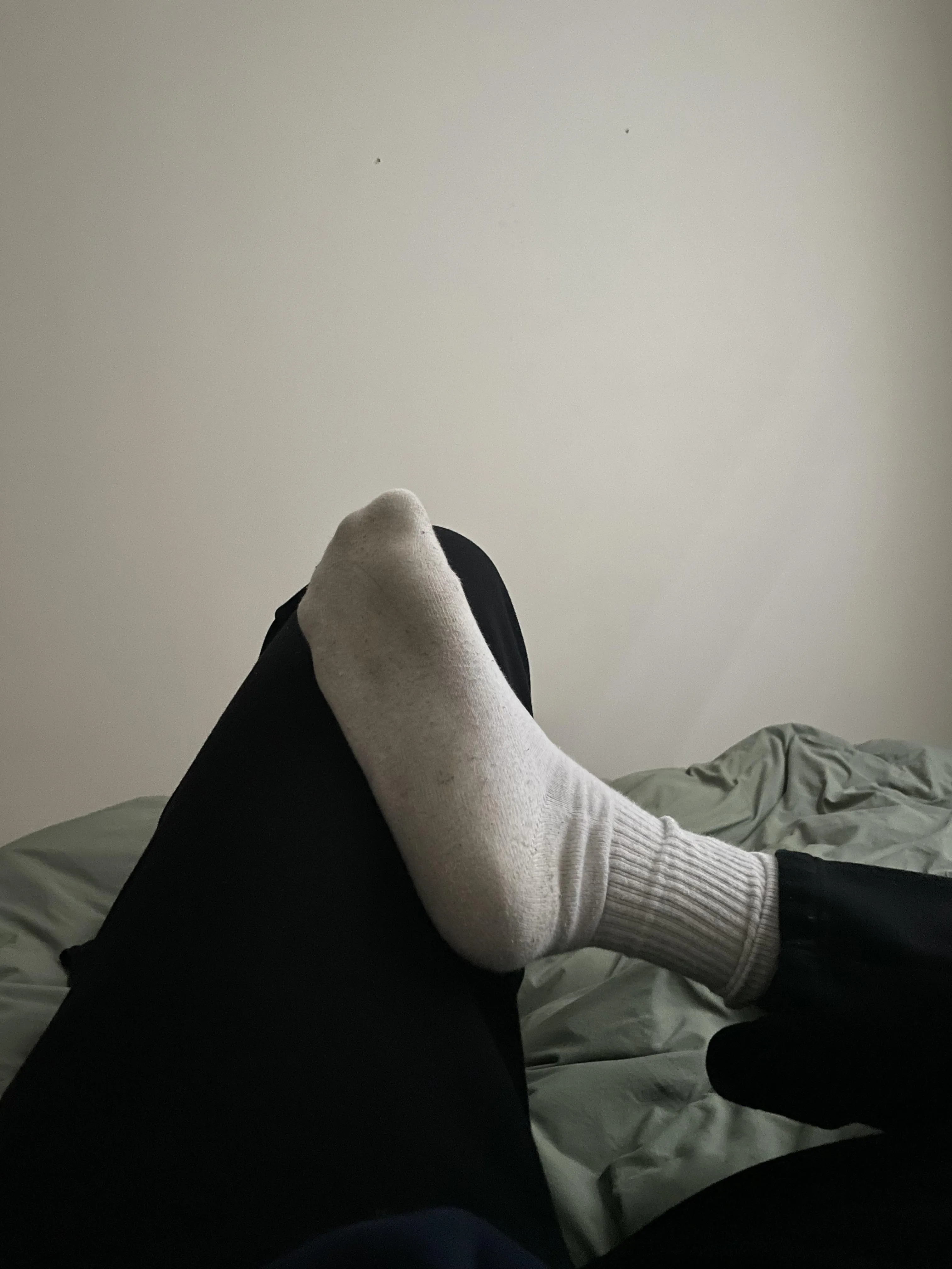 I know you freaks are obsessed with my dirty gym socks [F]